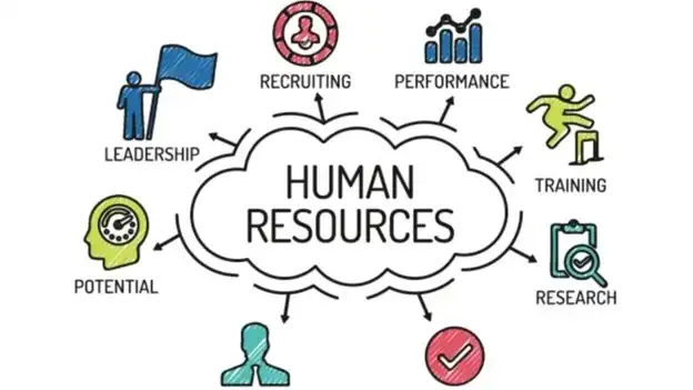 Talent Acquisition & Human Resources