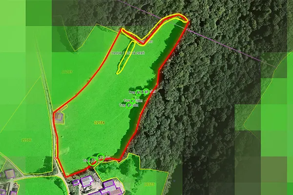 data-digitization-and-management